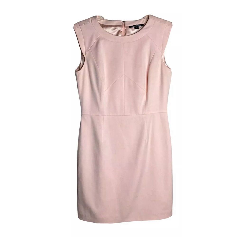 Gianni Bini Blush Pink Midi Sheath Dress